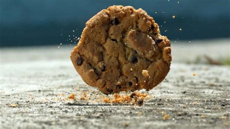 testing the five second rule on dropped food|5 second rule hypothesis.